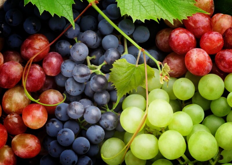 القيمة الغذائية للعنب وسعرات العنب و12 من فوائد العنب