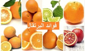 فوائد البرتقال والفيتامينات التى يحتويها للجهاز المناعي